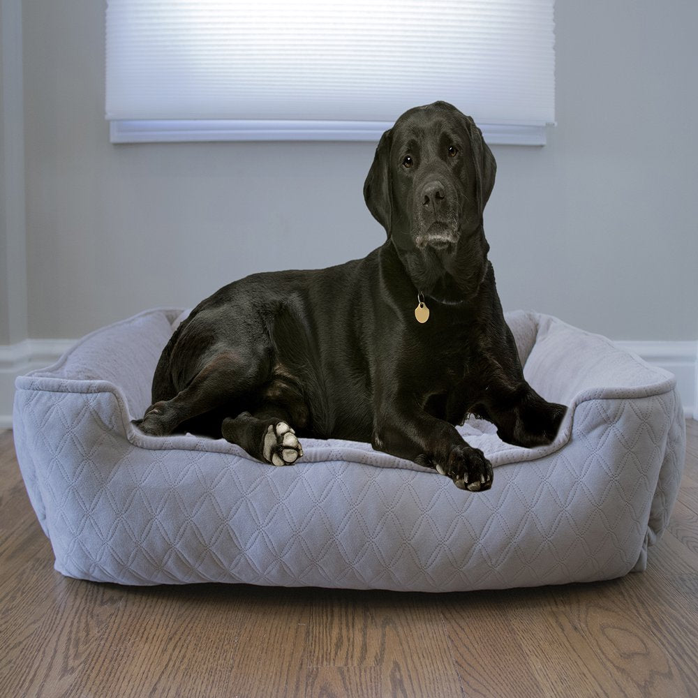 Arlee Lounger and Cuddler Style Pet Bed for Dogs and Cats Animals & Pet Supplies > Pet Supplies > Cat Supplies > Cat Beds Arlee Home Fashions   