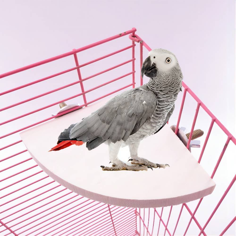 Bird Perch Platform, Parrot Stand Sector Playground Wood Perch Stand Toy Cage Accessories Exercise Toy for Parakeet Conure Cockatiel Budgie Gerbil Rat Mouse Chinchilla Hamster Animals & Pet Supplies > Pet Supplies > Bird Supplies > Bird Cage Accessories PS20220428   