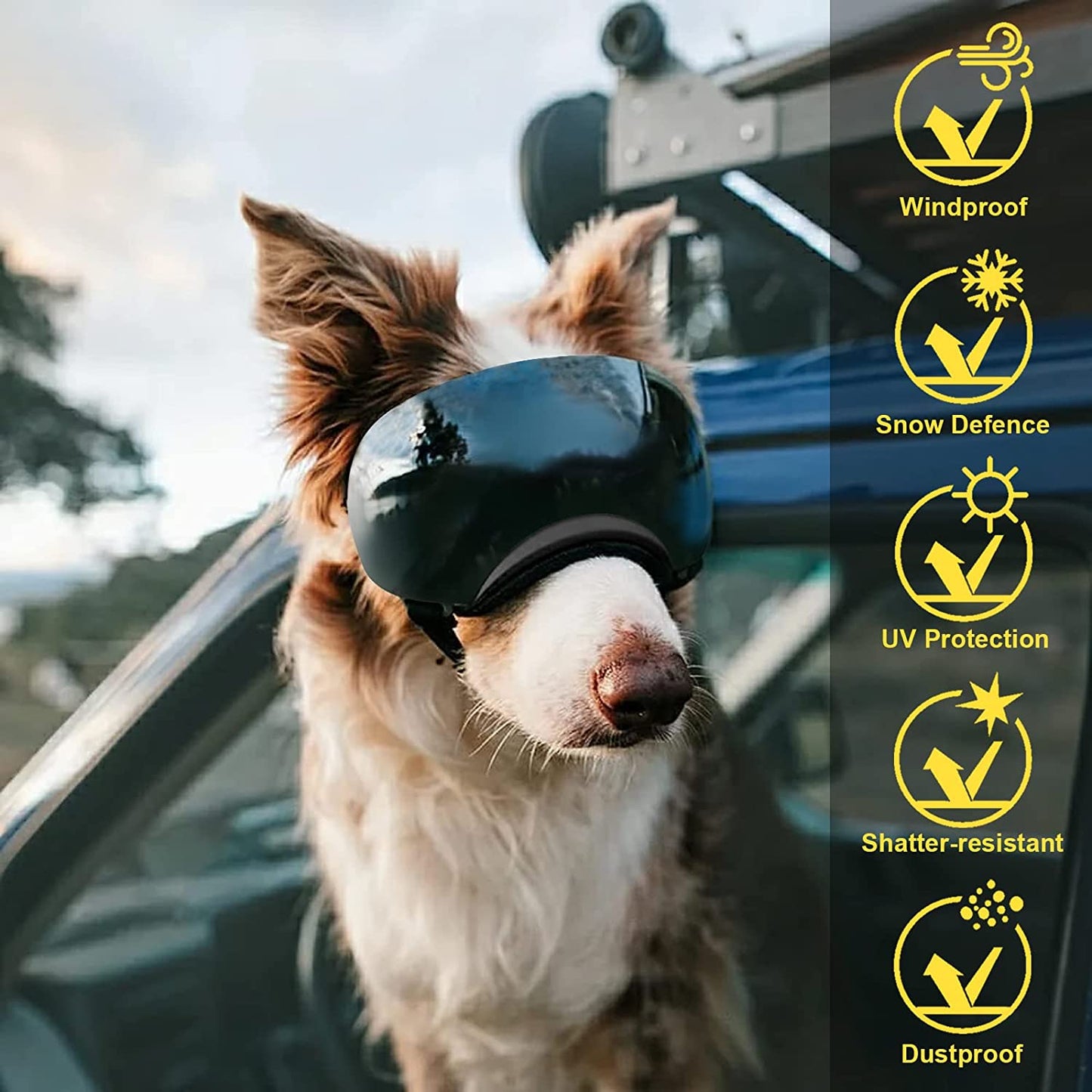 Dog Goggles, Ownpets Goggles with Adjustable Strap, Magnetic Design, Detachable Lens and UV Protection for Middle-Large Size Dog, Alaskan Malamute, Samoyed, Labrador and Border Collie (Black) Animals & Pet Supplies > Pet Supplies > Dog Supplies > Dog Apparel Ownpets   