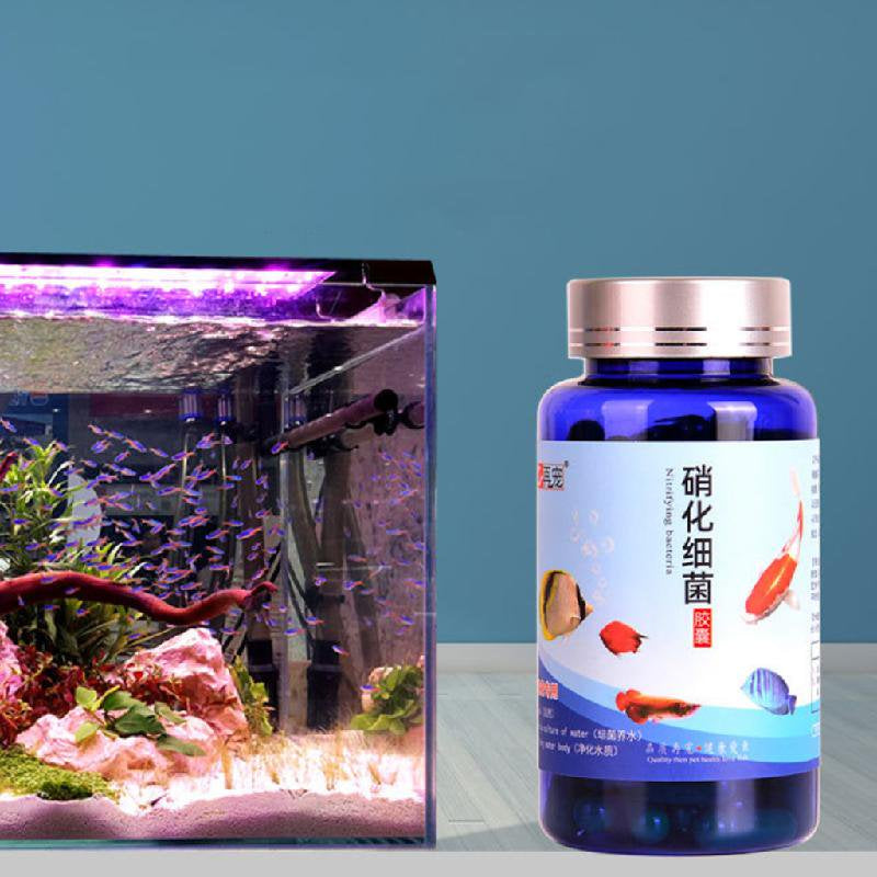 TONKBEEY 20/30/50/80/100 Pcs Aquarium Nitrifying Bacteria Concentrated Capsule Fish Tank Pond Cleaning Fresh Water Supply Animals & Pet Supplies > Pet Supplies > Fish Supplies > Aquarium Cleaning Supplies TONKBEEY   