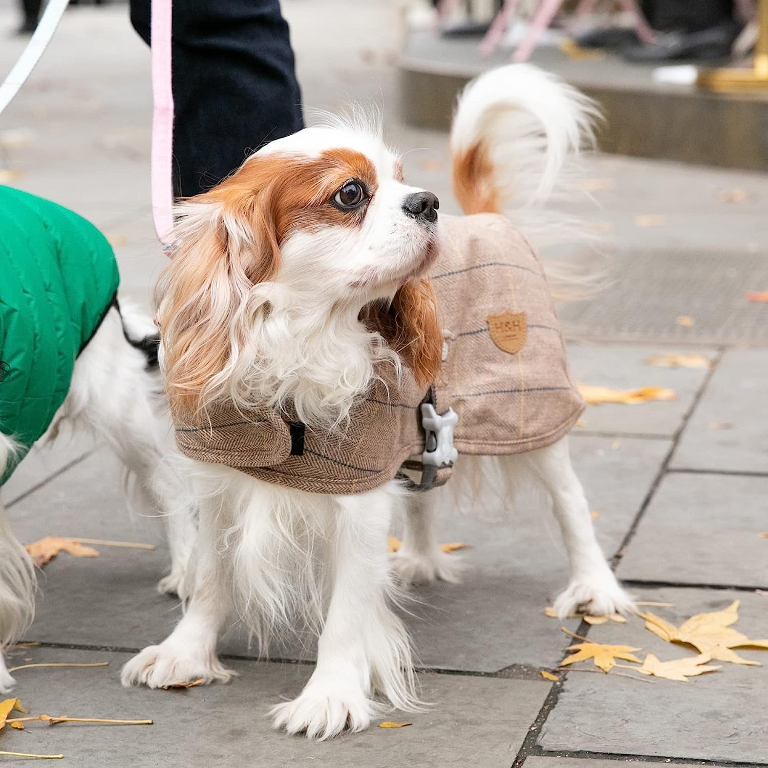 HUGO & HUDSON Dog Fleece Jacket - Clothing & Accessories for Dogs Winter Coats & Jackets with Adjustable Strap - Caramel Checked Herringbone Tweed - S Animals & Pet Supplies > Pet Supplies > Dog Supplies > Dog Apparel Hugo & Hudson   