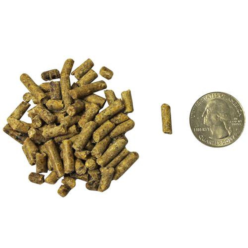 Exotic Nutrition Deluxe Squirrel Diet 2 Lb. Animals & Pet Supplies > Pet Supplies > Small Animal Supplies > Small Animal Food Exotic Nutrition   