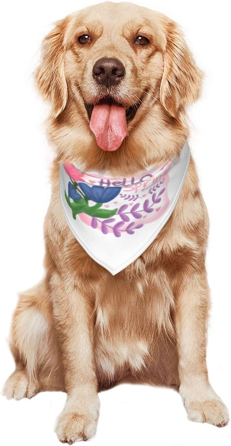 Floral Labels Hello Spring Blue Pet Dog and Cat Decorative Triangle Scarf,Dog Bandana,Breathable and Stain Resistant. Animals & Pet Supplies > Pet Supplies > Dog Supplies > Dog Apparel ZALTAS   