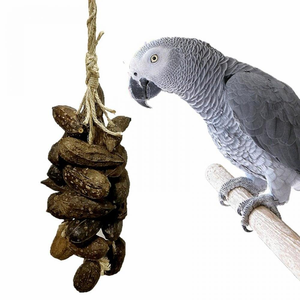 Best，Pet Bird Chew Toys Natural Nut String for Large Parrot Bird Cage Accessories Funny Swing Toys Animals & Pet Supplies > Pet Supplies > Bird Supplies > Bird Cage Accessories Patgoal   