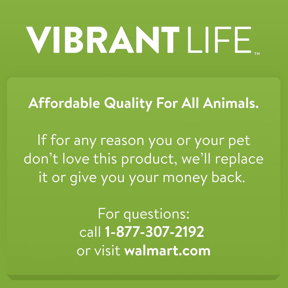 Vibrant Life Expandable Worm Teaser Wand Cat Toy Animals & Pet Supplies > Pet Supplies > Cat Supplies > Cat Toys Multipet   