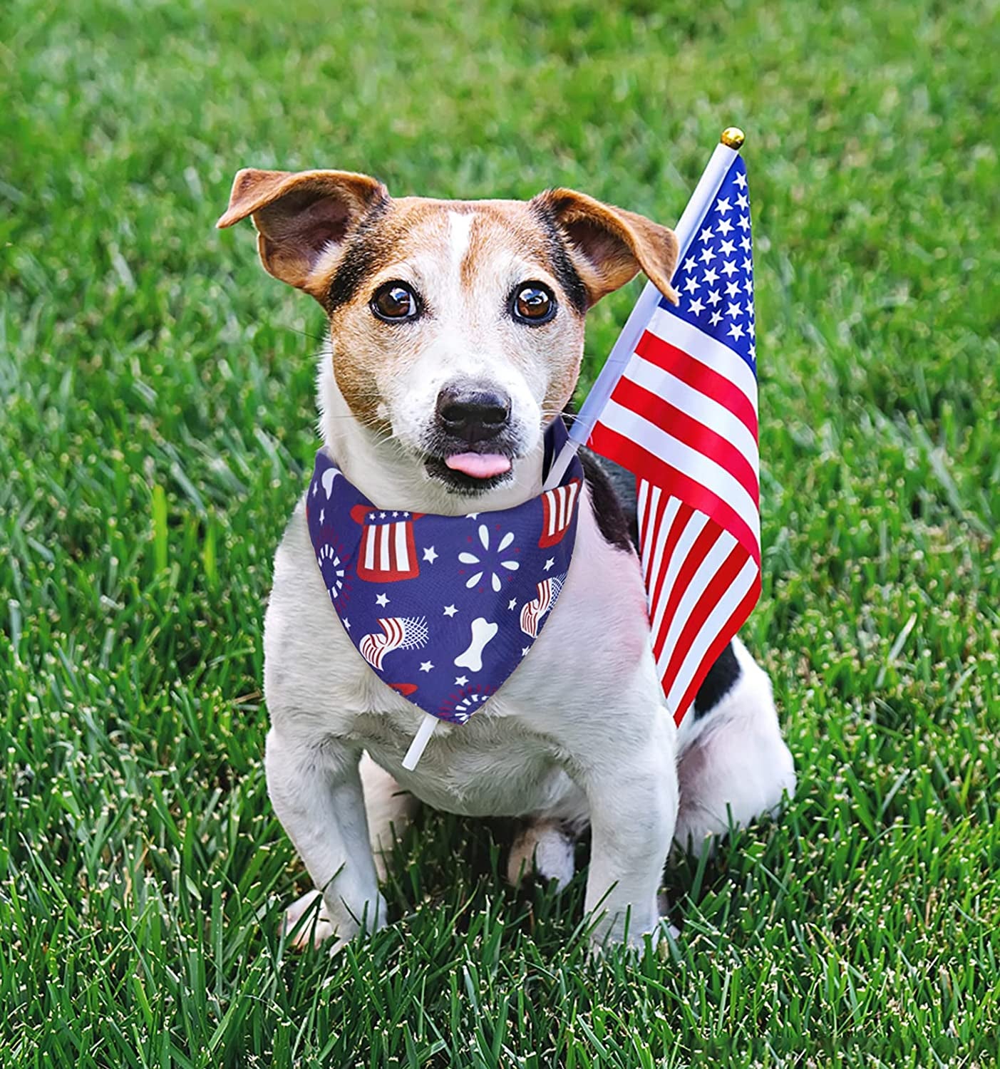 Pets Vv 2 Pack 4Th of July Dog Bandana, Americ-An Flag Patriotic Dog Bandanas USA Triangle Bibs Scarf Accessories for Small Medium Dogs Cats Pets Animals, Labor Day Accessories Animals & Pet Supplies > Pet Supplies > Dog Supplies > Dog Apparel Pets vv   