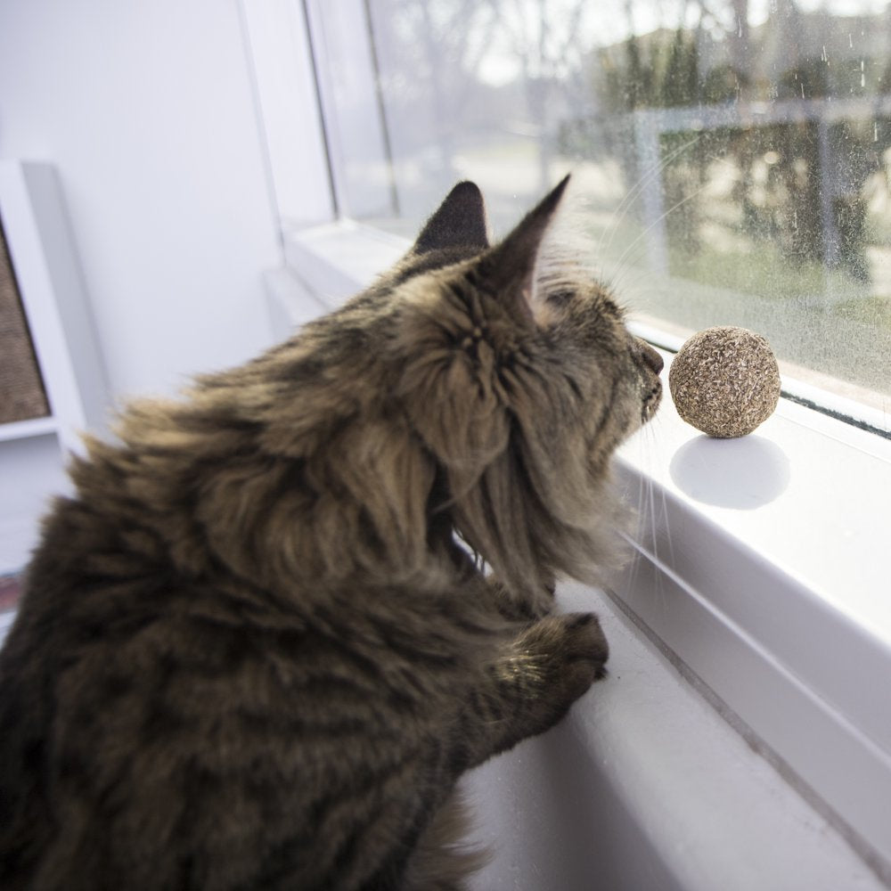 Smartykat (5-Set) Catnip Kiss Compressed Catnip Ball Toys for Cats & Kittens, Natural, Pure & Potent, Fun & Engaging Play - 5-Set Animals & Pet Supplies > Pet Supplies > Cat Supplies > Cat Toys SmartyKat   