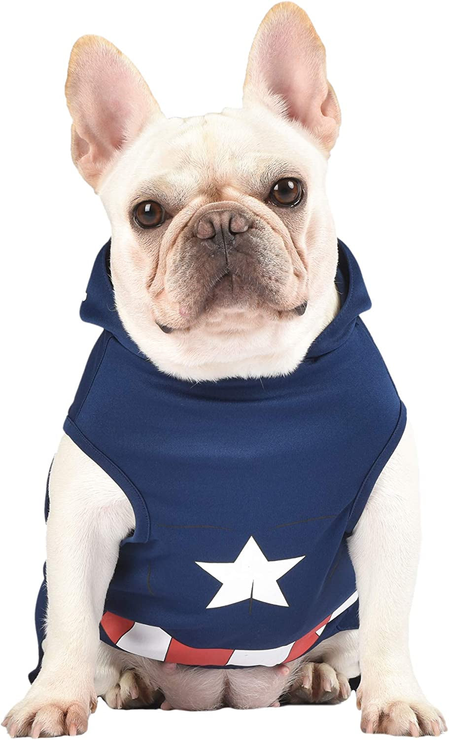 Marvel Legends Captain America Dog Costume, Large (L) | Hooded Superhero Costume for Dogs | Blue and Red Captain America Costume Dog Halloween Costumes for Large Dogs Animals & Pet Supplies > Pet Supplies > Dog Supplies > Dog Apparel Fetch for Pets   