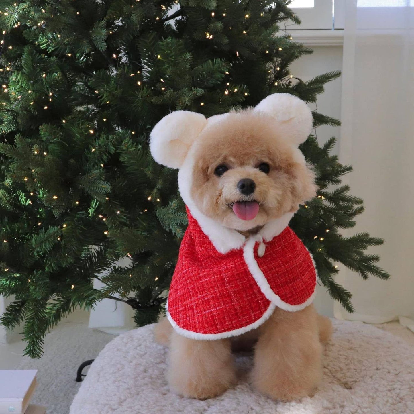 Dog New Year Outfit, Pet Cheongsam, Dog Tang Costume Warm Coat for Puppy Small Medium Dog (Cape, Neck Girth 10") Animals & Pet Supplies > Pet Supplies > Dog Supplies > Dog Apparel HDKUW   