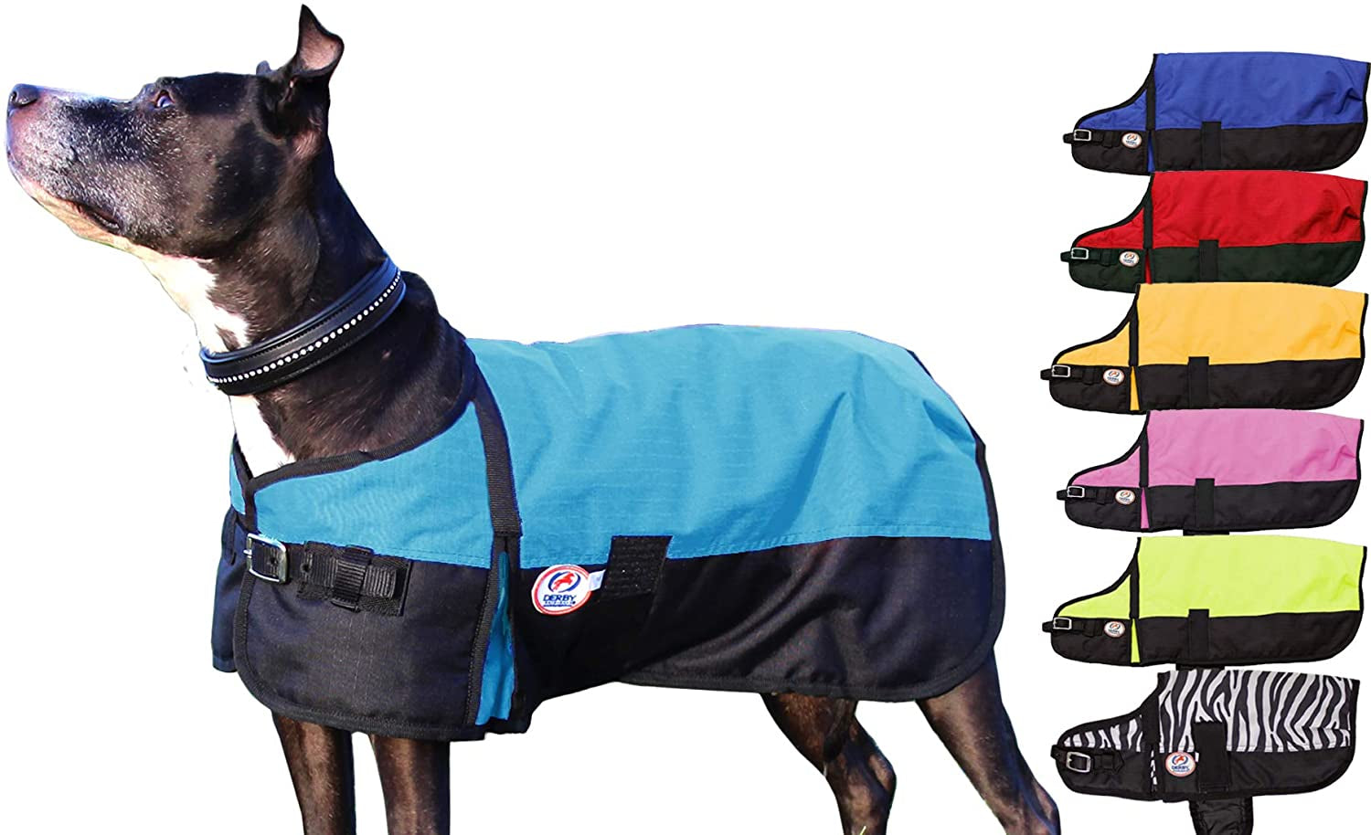 Derby Originals Horse Tough 600D Ripstop Waterproof Winter Dog Coat 150G Medium Weight Animals & Pet Supplies > Pet Supplies > Dog Supplies > Dog Apparel Derby Originals Hurricane Blue 13.5 in 