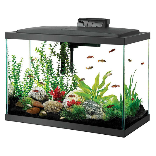 Aqueon Aquarium Starter Kit with LED Lighting 20 High Animals & Pet Supplies > Pet Supplies > Fish Supplies > Aquarium Lighting Central Garden and Pet   