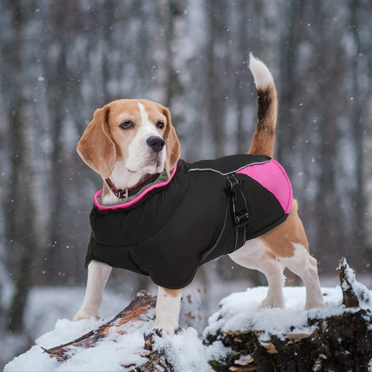 BRKURLEG Dog Jacket Winter Coat,Turtleneck Reflective Dog Cold Weather Coat with Fleece Lining,Waterproof Warm Padded Doggy Waistcoat,Adjustable Neck Chest Girth Dog Windbreaker Vest for All Breeds Animals & Pet Supplies > Pet Supplies > Dog Supplies > Dog Apparel BRKURLEG   