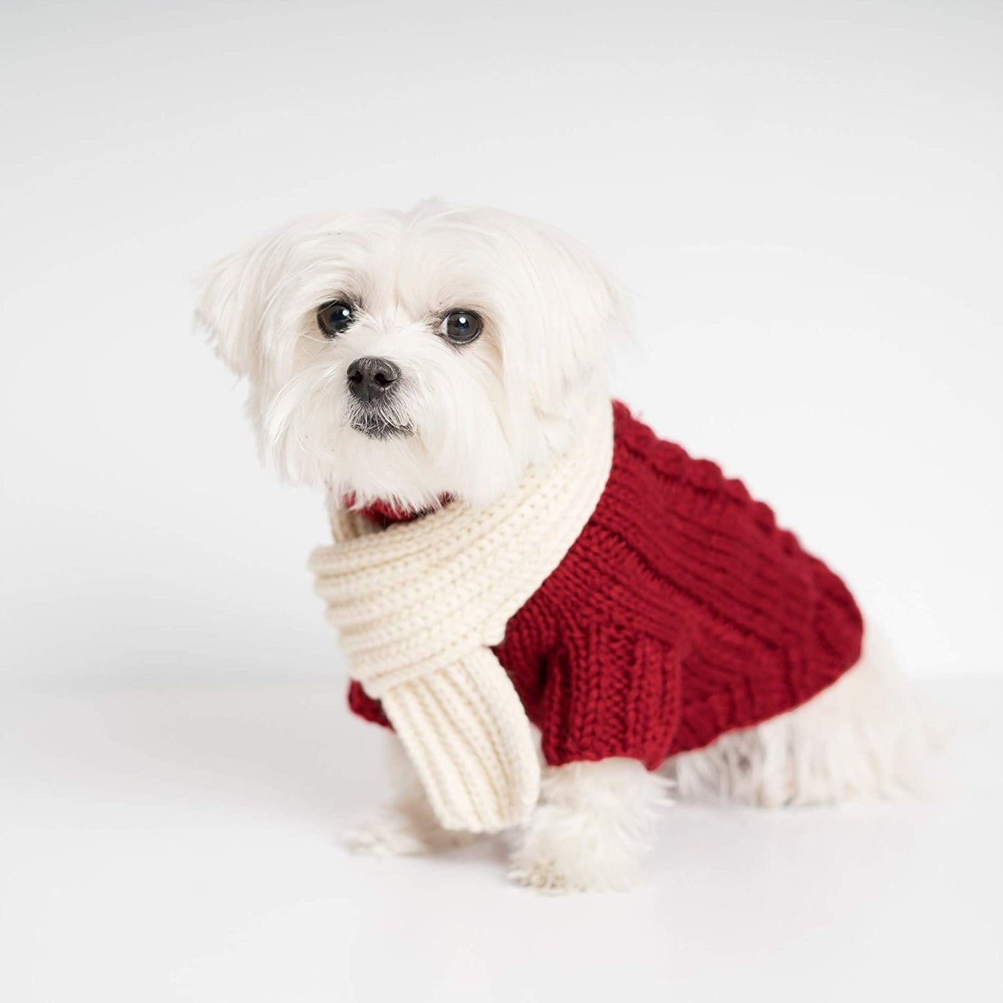 United Pups Soft Warm Knitted Winter Doggie Sweater with Scarf for Small Medium Puppy Dogs (Modern Pups Ivory, Extra Large) Animals & Pet Supplies > Pet Supplies > Dog Supplies > Dog Apparel United Pups Cool Pups Crimson Large 