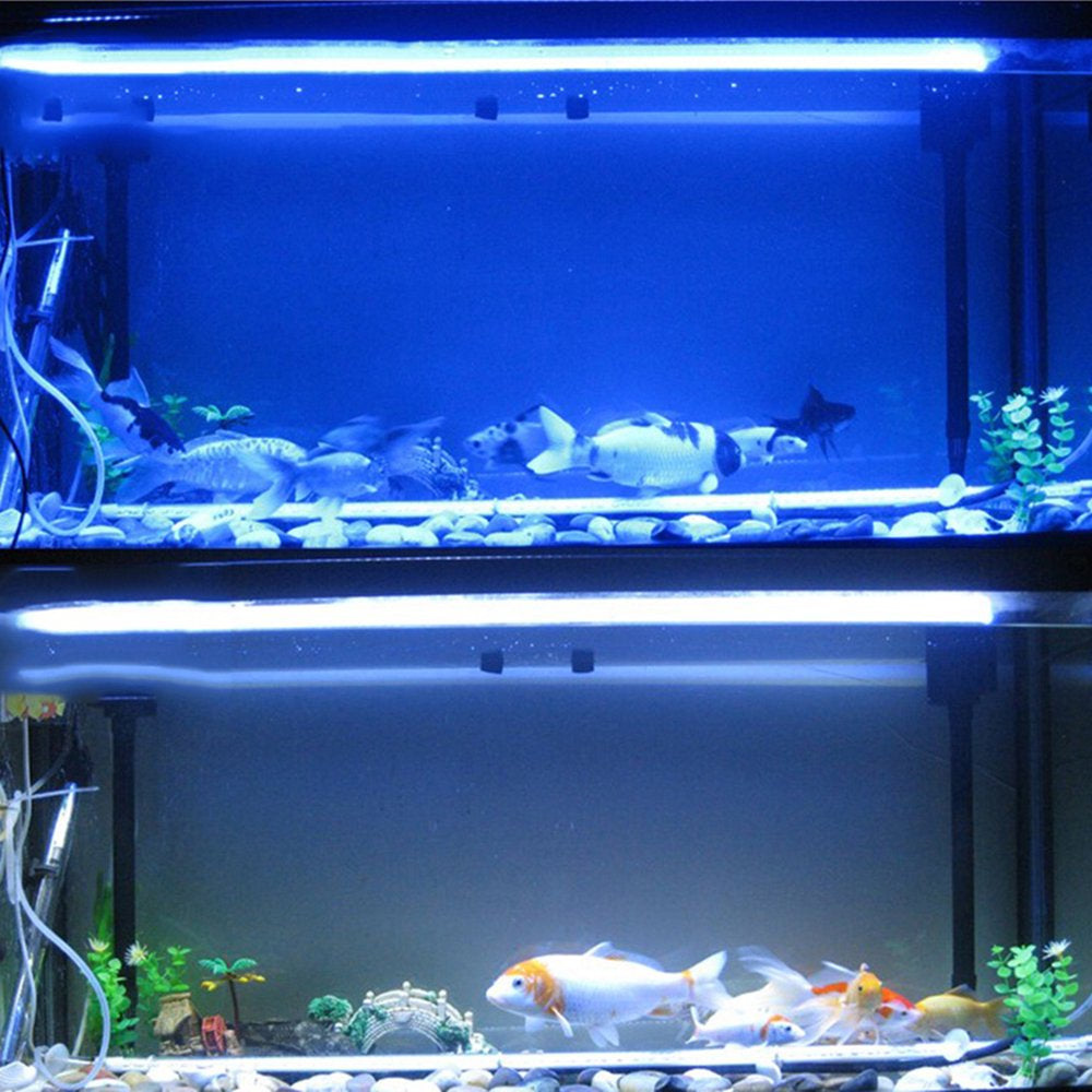 DONGPAI Submersible LED Aquarium Light, Fish Tank Light with Timer Auto On/Off White & Blue 3 Light Modes LED Light Bar for Fish Tank Animals & Pet Supplies > Pet Supplies > Fish Supplies > Aquarium Lighting DONGPAI   