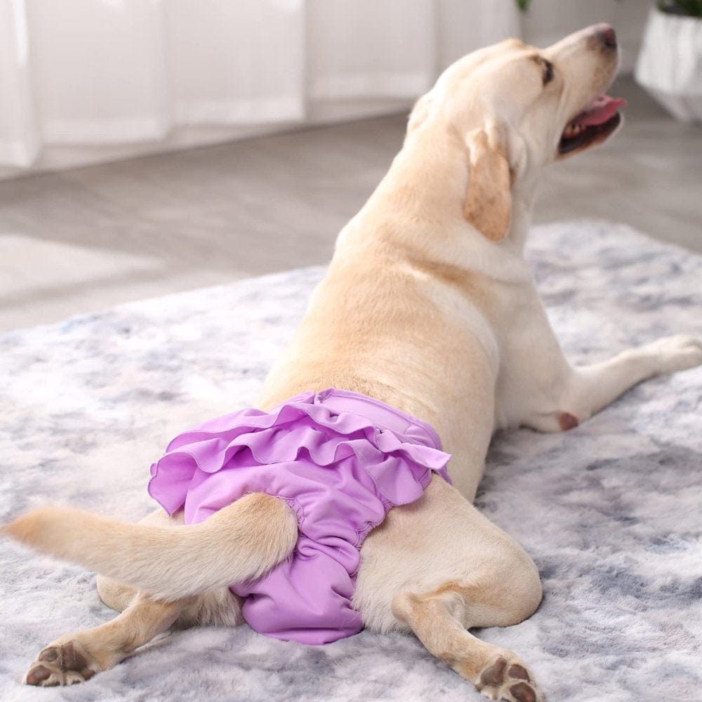 3Pack, Washable Female Dog Diapers, Reusable Doggies Diapers and Puppies Dogs Heat Panties for Girl Dogs Periods Pink/Purple/Gray Animals & Pet Supplies > Pet Supplies > Dog Supplies > Dog Diaper Pads & Liners DERTHADEIG   