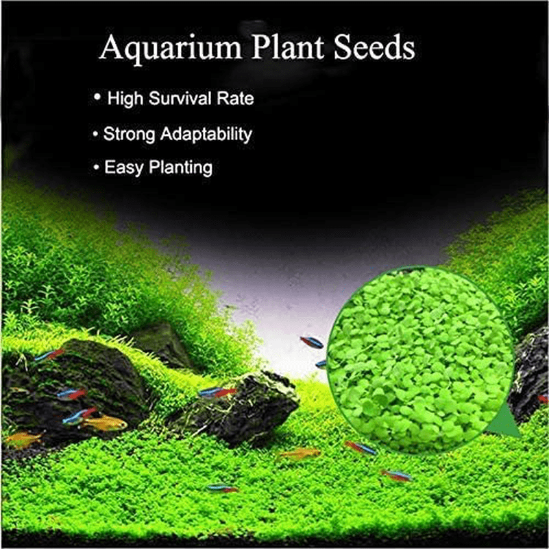 Aquarium Plant Seeds Fish Tank Aquatic Water Grass Foreground Easy Plants  Decor