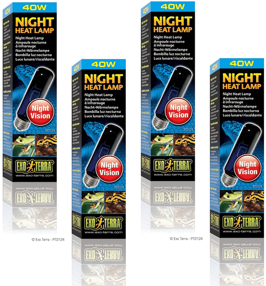 (4 Pack) Exo Terra Night-Glo Moonlight Lamp, 40 Watt Animals & Pet Supplies > Pet Supplies > Reptile & Amphibian Supplies > Reptile & Amphibian Habitat Heating & Lighting Exo Terra   