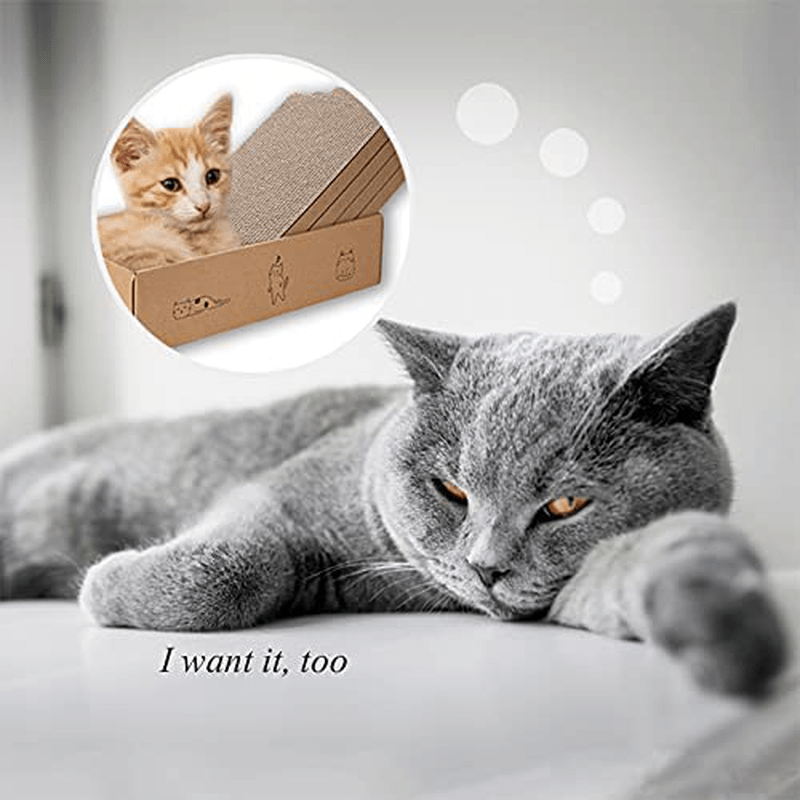 5 Packs in 1 Cat Scratch Pad with Box, Cat Scratcher  Cardboard,Reversible,Durable Recyclable Cardboard, Suitable for Cats to  Rest, Grind Claws and