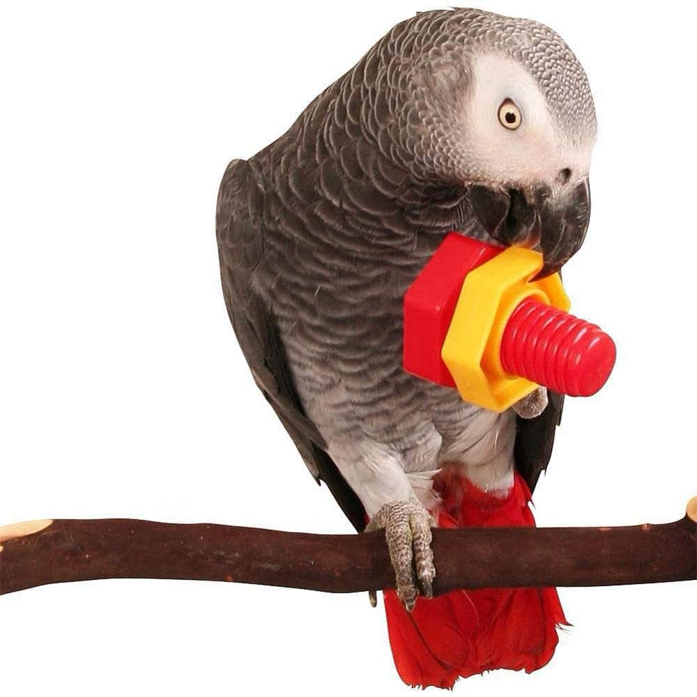 4 Pcs Bird Chewer Chewing Block Toys Set，Parrots Foot Talon Screw Toys，Parakeet Coloured Plastic Nuts Bolts Shaped Toy，Bird Cage Playpen Play Gym Grinding Beak Toy for Cockatiel African Grey Cockatoo