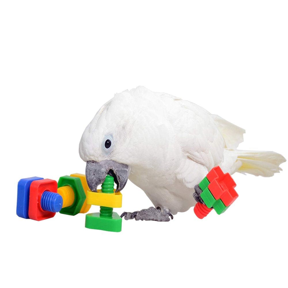 4 Pcs Bird Chewer Chewing Block Toys Set，Parrots Foot Talon Screw Toys，Parakeet Coloured Plastic Nuts Bolts Shaped Toy，Bird Cage Playpen Play Gym Grinding Beak Toy for Cockatiel African Grey Cockatoo Animals & Pet Supplies > Pet Supplies > Bird Supplies > Bird Gyms & Playstands QBLEEV   