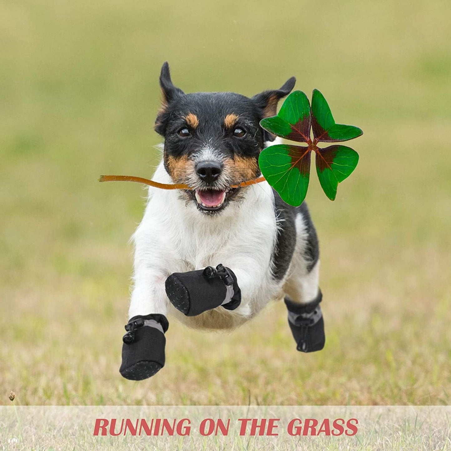 4 Sets Waterproof Dog Shoes Rain Snow Dog Booties Breathable Paw Protector Anti-Slip Dog Sock Shoes Soft Soled Dog Boots with Adjustable Drawstring for Dog (Red, Black, Yellow, Orange, Medium) Animals & Pet Supplies > Pet Supplies > Dog Supplies > Dog Apparel Weewooday   