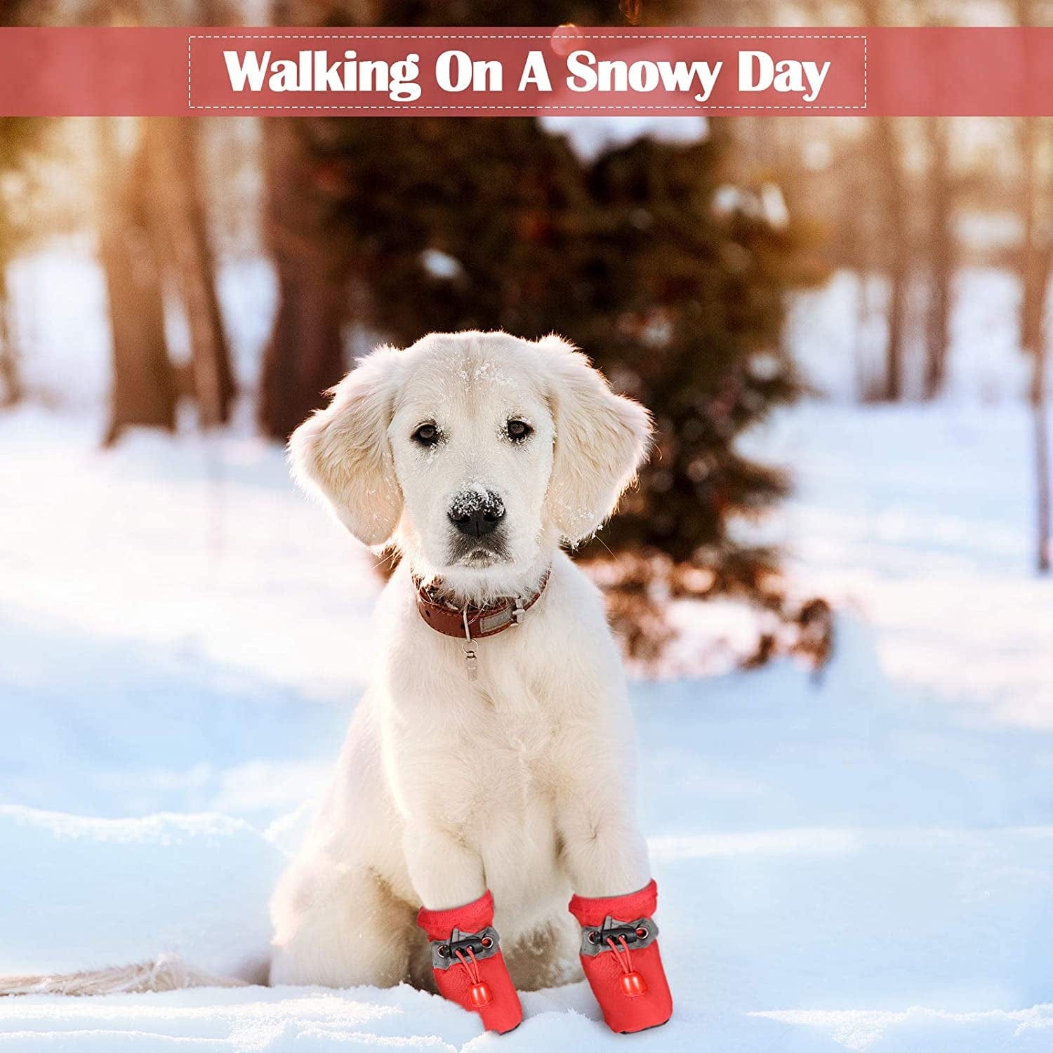 4 Sets Waterproof Dog Shoes Rain Snow Dog Booties Breathable Paw Protector Anti-Slip Dog Sock Shoes Soft Soled Dog Boots with Adjustable Drawstring for Dog (Red, Black, Yellow, Orange, Medium) Animals & Pet Supplies > Pet Supplies > Dog Supplies > Dog Apparel Weewooday   