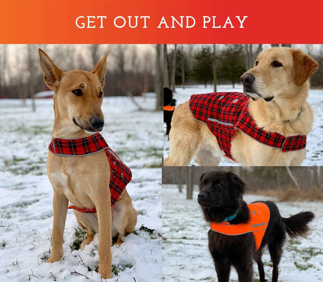 SPOT the DOG! Reflective Vest Safety Apparel for All Dogs - Easy Fastening Closure, Reversible High Visibility Fluorescent Orange/Red Plaid, X-Small Animals & Pet Supplies > Pet Supplies > Dog Supplies > Dog Apparel Spot the Dog, LLC   