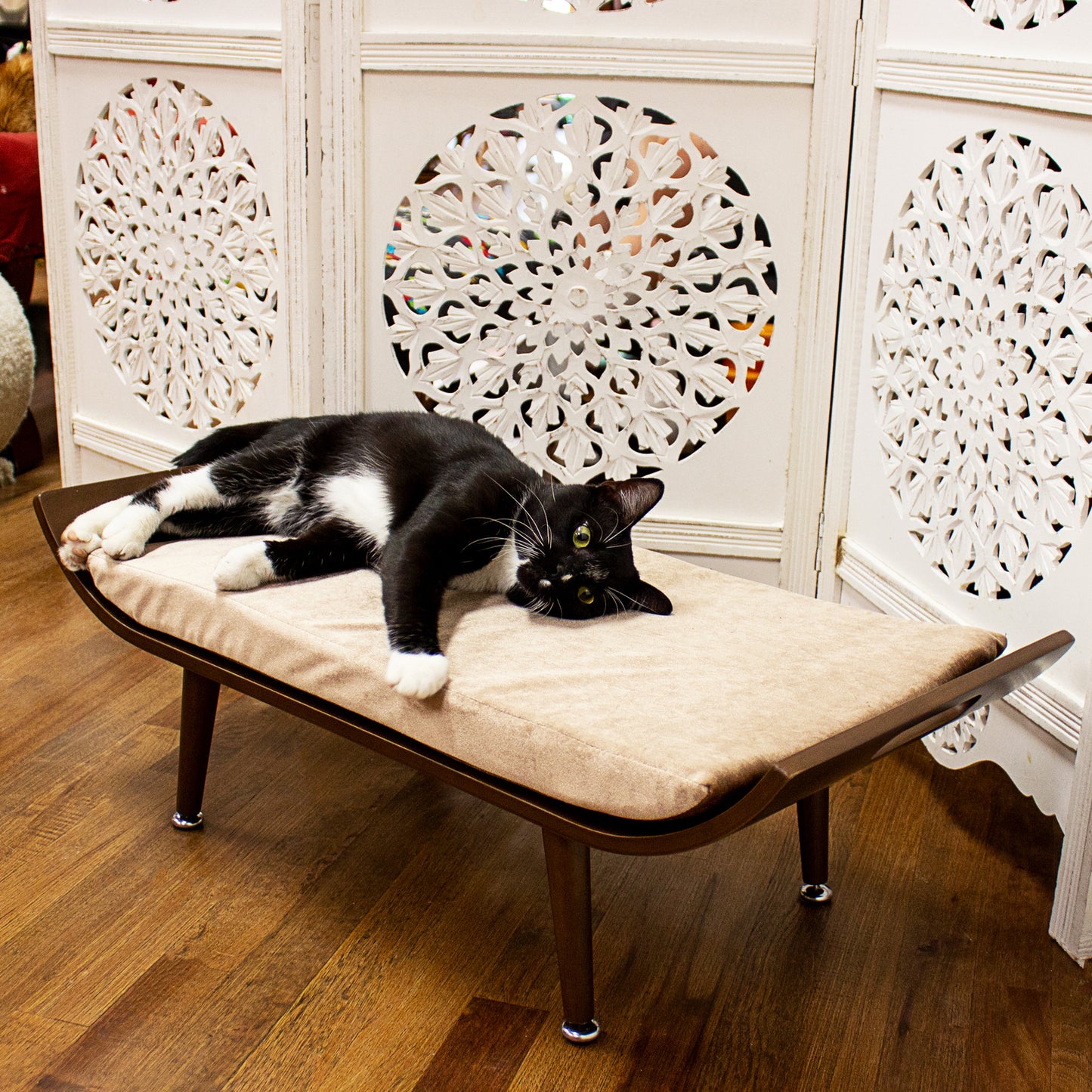 Penn-Plax Cat Walk Furniture: Luxury Lounger Cat Bed – Mid-Century Modern – for All Size Cats