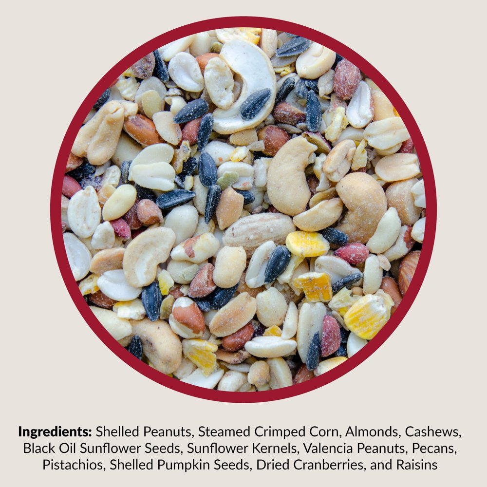 Lyric Fruit and Nut Wild Bird Seed, High Energy Wild Bird Food Mix, 5