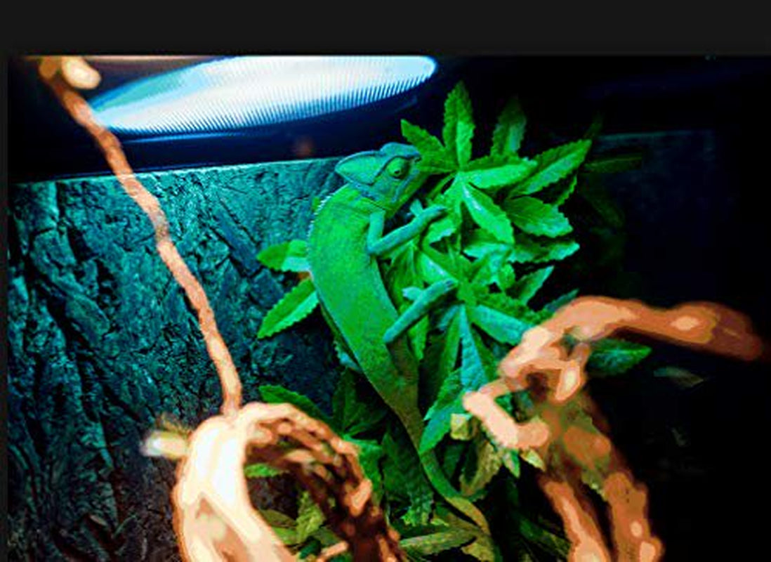Fivebull Reptile Silk Plants Leaves , Habitat Amphibian Accessories Enclosure Decor Tank Decoration Vines for Climbing, Decorate Grass Leaf with Suction Cup for Reptile & Amphibian Habitat P