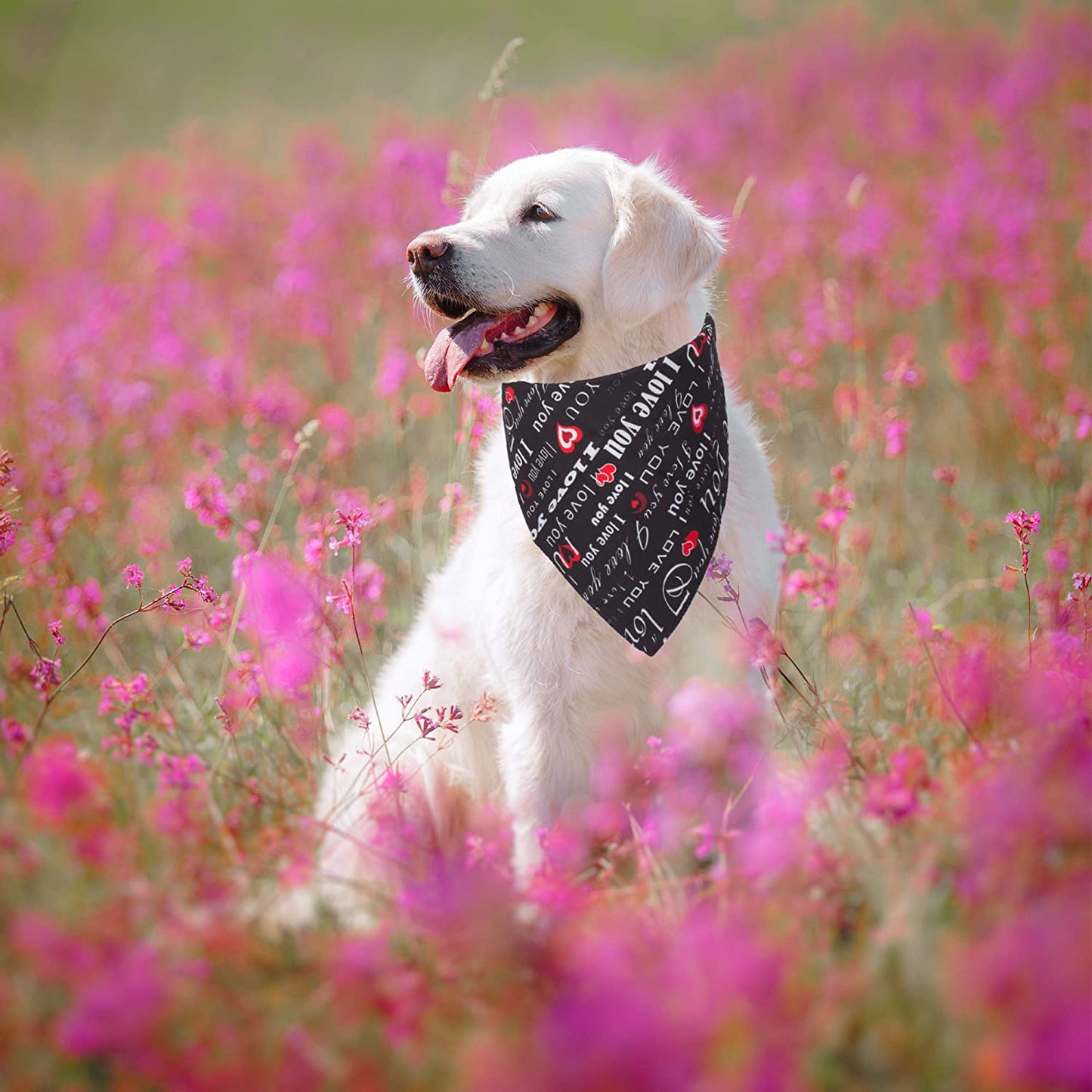 ADOGGYGO 2 Pack Valentine'S Day Dog Bandana Reversible Triangle Bibs Scarf Accessories for Small Medium Large Dogs Cats Pets (Red & Black) Animals & Pet Supplies > Pet Supplies > Dog Supplies > Dog Apparel ADOGGYGO   