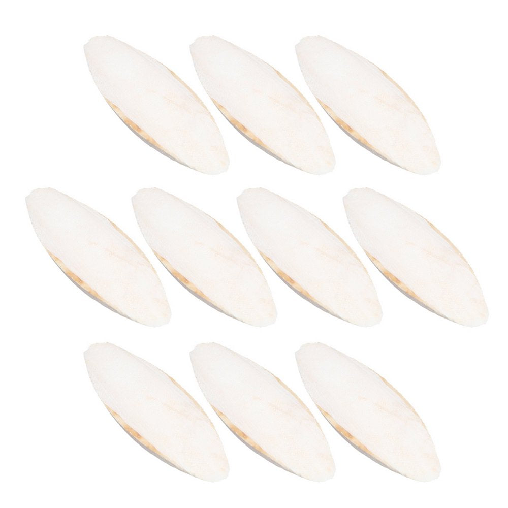 Natural Cuddle Bone Parrot Chew Toys Chewing Cuttlefish Bone Bird Cuttlebone Animals & Pet Supplies > Pet Supplies > Bird Supplies > Bird Toys Lacyie   