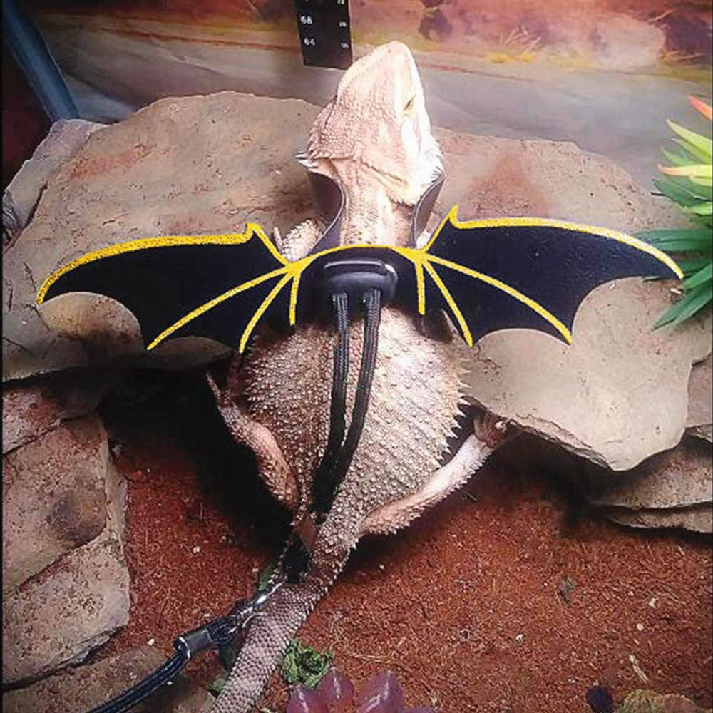 Genuine Leather Bearded Dragon Bat Wings with 3 Sizes Lizard Harness Metal Chain Leash with Fruit Charms for Amphibians Bearded Dragon Iguana Gecko Chameleon Reptiles Animals & Pet Supplies > Pet Supplies > Reptile & Amphibian Supplies > Reptile & Amphibian Food Foeses   
