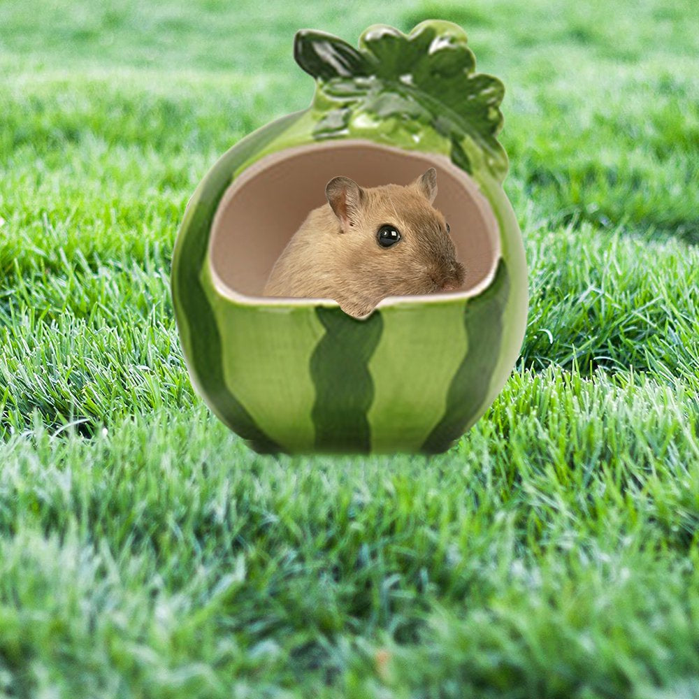 Ceramic Hamster Bed Houses Cartoon Shape Small Pet Animals Habitat Cage House Summer Cool Hamster Hideout Nest Animals & Pet Supplies > Pet Supplies > Small Animal Supplies > Small Animal Habitats & Cages Saikoo   