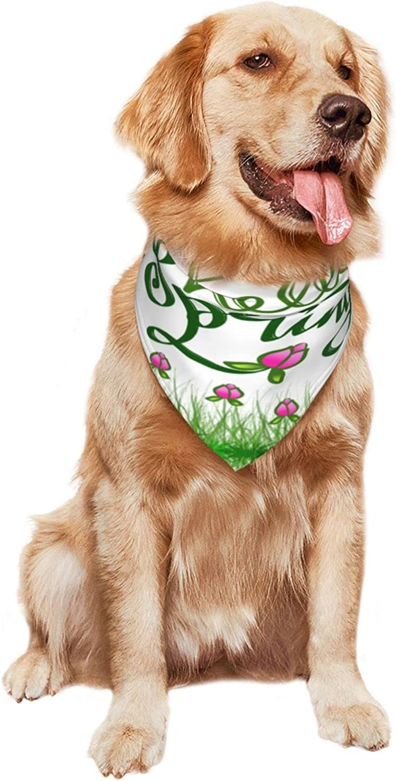 Hand Lettering Hello Spring Pet Dog and Cat Decorative Triangle Scarf,Dog Bandana,Breathable and Stain Resistant. Animals & Pet Supplies > Pet Supplies > Dog Supplies > Dog Apparel ZALTAS   