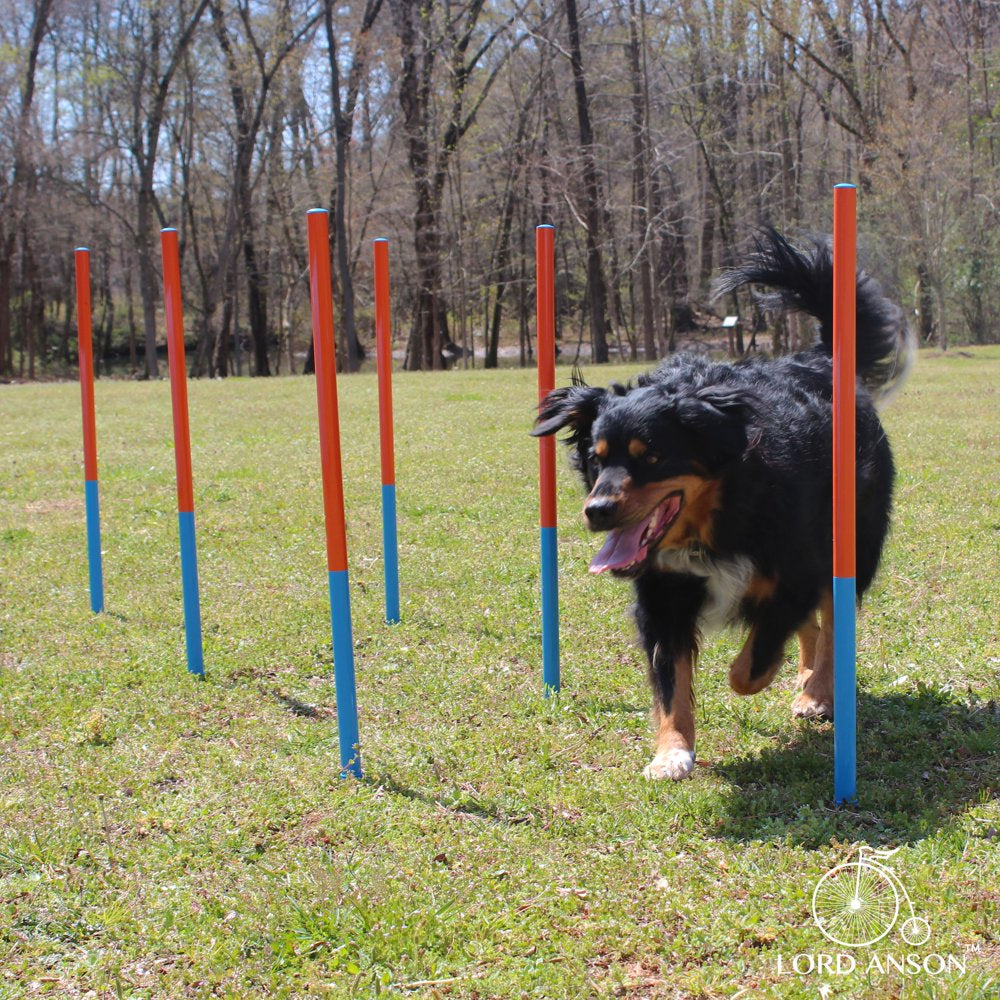 Lord Anson Dog Agility Set - Dog Agility Equipment - 1 Dog Tunnel, 6 Weave Poles, 1 Dog Agility Jump - Canine Agility Set for Dog Training, Obedience, Rehabilitation Animals & Pet Supplies > Pet Supplies > Dog Supplies > Dog Treadmills Lord Anson   