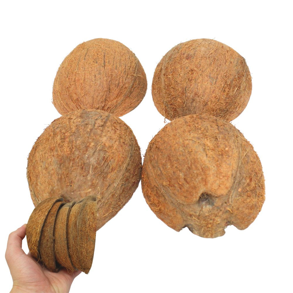 Bonka Bird Toys Pack 4 Coconut 1/2 Shell with Fiber Animals & Pet Supplies > Pet Supplies > Bird Supplies > Bird Toys Bonka Bird Toys   