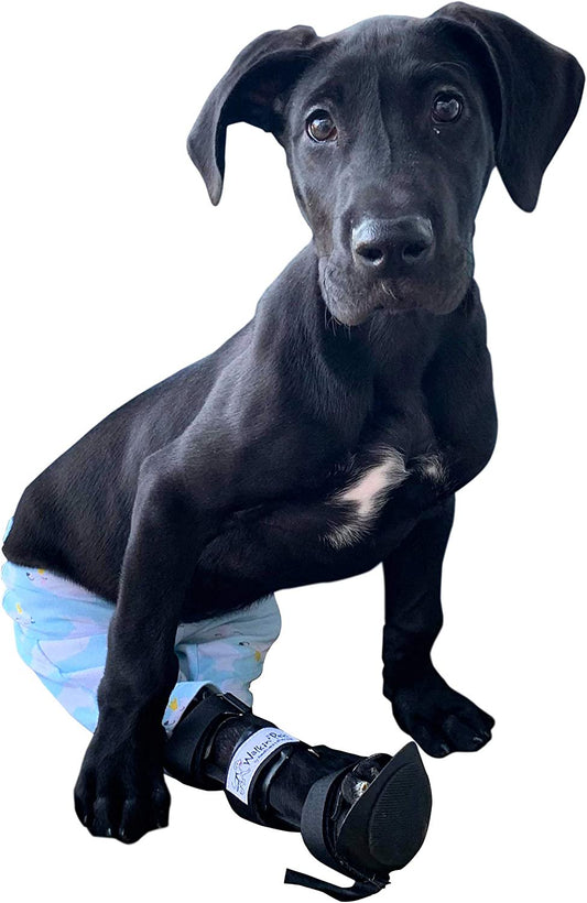 Walkin' Pet Splint for Dogs - Canine Rear Foot Splint - Xx-Small Animals & Pet Supplies > Pet Supplies > Dog Supplies > Dog Apparel Walkin' Pets XS  