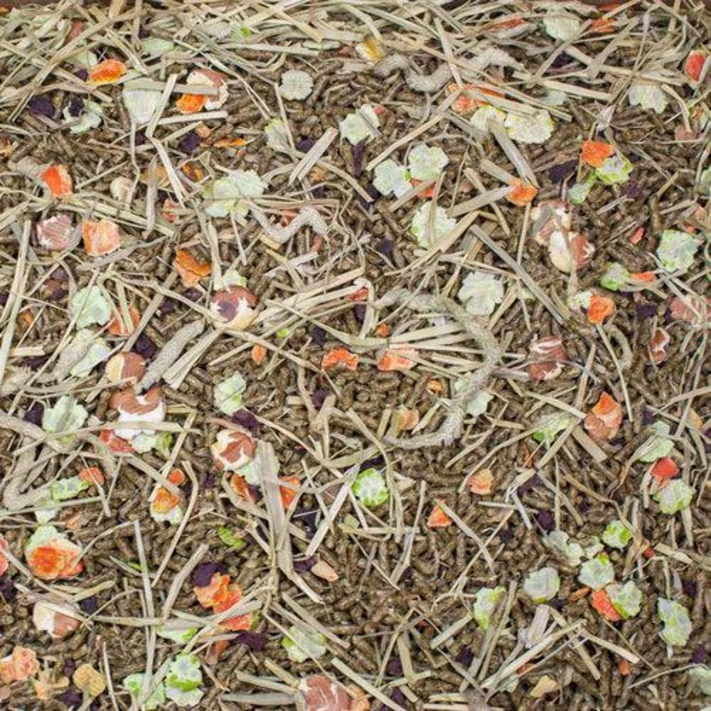 Higgins Vita Garden Guinea Pig Small Animal Food, 4 Lb Animals & Pet Supplies > Pet Supplies > Small Animal Supplies > Small Animal Food HIGGINS GROUP   