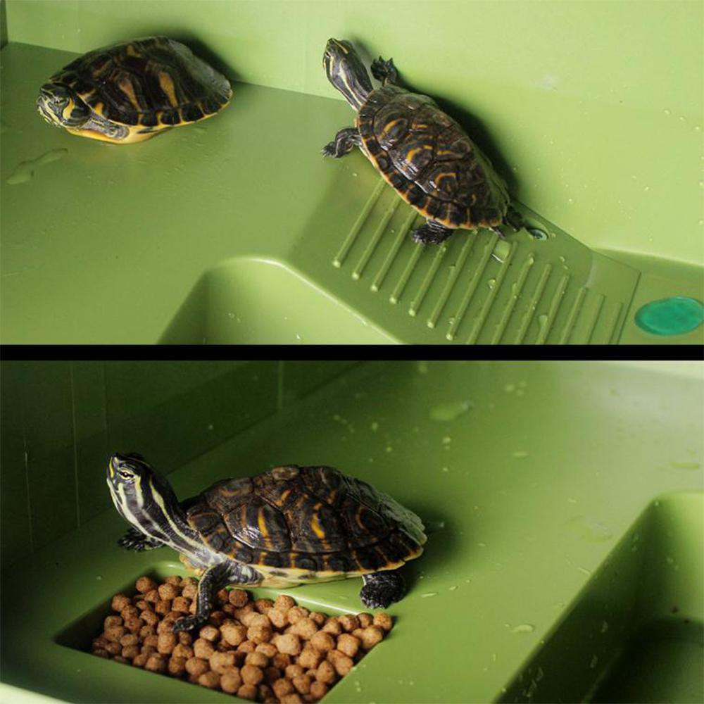 Green Floating Basking Platform Reptile Play Ground Turtle Ramp Reptile Habitat Decor Pet Supplies Reptiles Amphibians Animals & Pet Supplies > Pet Supplies > Small Animal Supplies > Small Animal Habitat Accessories perfk   