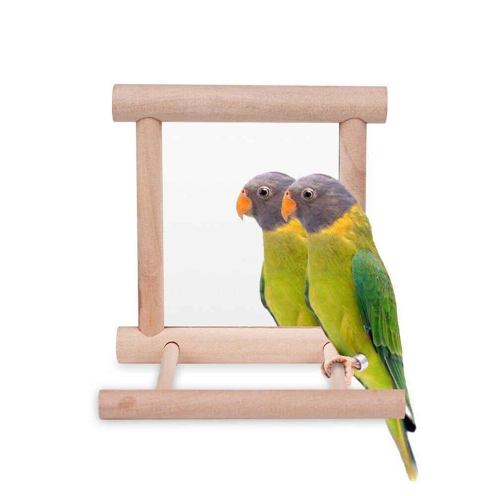 Parrot Swing Toy Wooden Bird Cage Mirror Chewing Toys Pet Bird Stand Supplies for Parrots Parakeets Cockatiels Conures Finches Budgie Parrots Love Birds by SYWAN Animals & Pet Supplies > Pet Supplies > Bird Supplies > Bird Cages & Stands SYWAN   