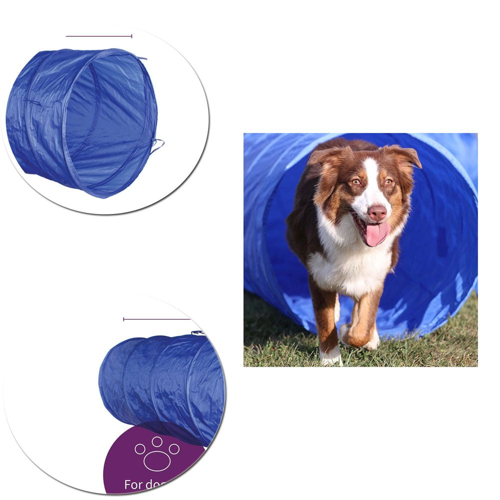 Dog Agility Training Equipment Kit with Full Length Dog Agility Tunnel, 8 Weave Poles, 1 Dog Agility