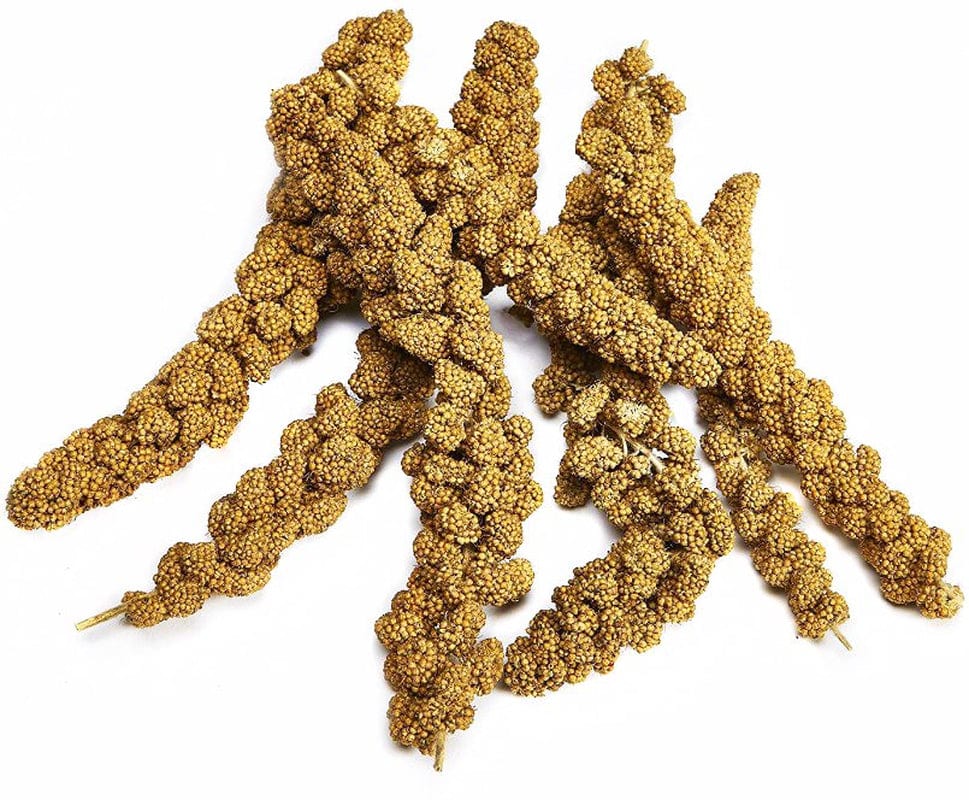 42 Oz (6 X 7 Oz) Kaytee Natural Spray Millet for All Birds Animals & Pet Supplies > Pet Supplies > Bird Supplies > Bird Treats Kaytee   