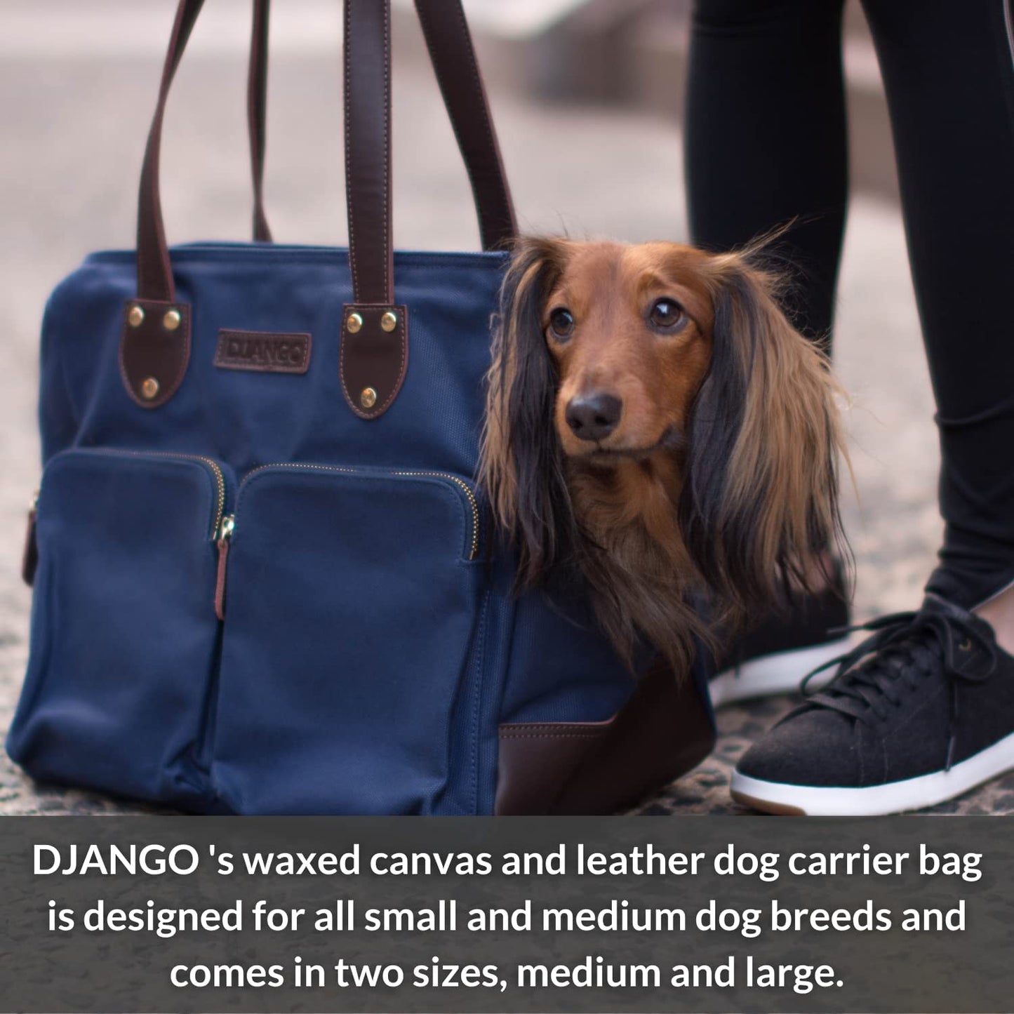 DJANGO Dog Carrier Bag - Waxed Canvas and Leather Soft-Sided Pet Travel Tote with Bag-To-Harness Safety Tether & Secure Zipper Pockets (Medium, Navy Blue) Animals & Pet Supplies > Pet Supplies > Dog Supplies > Dog Apparel DJANGO   