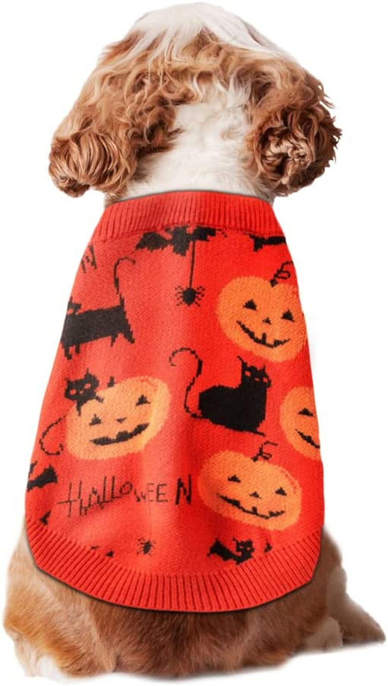 NIULA Dog Pumpkin Sweater Pet Halloween Costume Holiday Party Small to Large Dogs Jumpers for Cat and Puppy(Pumpkin,L) Animals & Pet Supplies > Pet Supplies > Dog Supplies > Dog Apparel NIULA Orange Small (Pack of 1) 