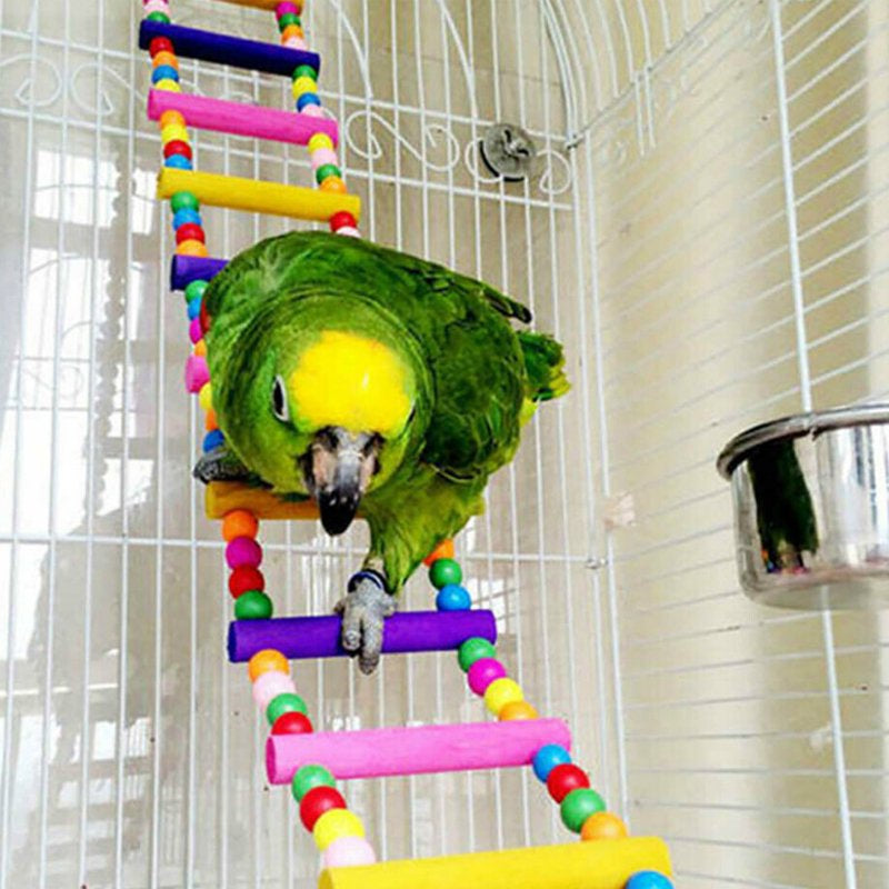 Bird Toys for Parrots, 10Packs Bird Swing Chewing Toys, Parrot Hammock Bell Toys Suitable for Small Parakeets, Cockatiels, Conures, Finches,Budgie,Macaws, Parrots, Love Birds Animals & Pet Supplies > Pet Supplies > Bird Supplies > Bird Toys MUTOCAR   