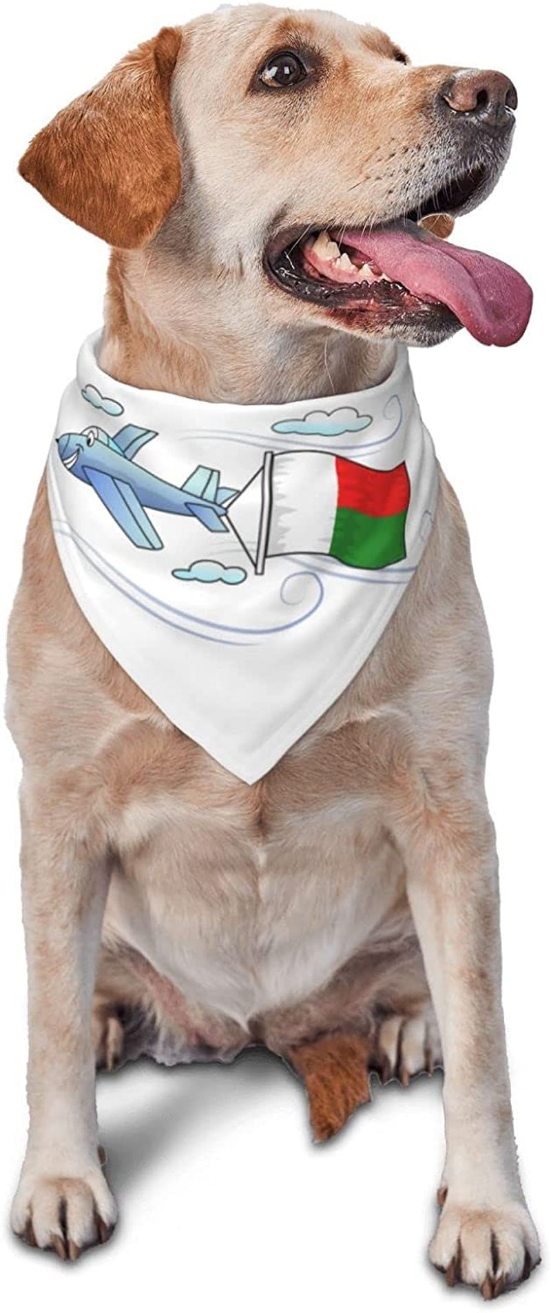 Airplane with Flag Madagascar Pet Dog and Cat Decorative Triangle Scarf,Dog Bandana,Breathable and Stain Resistant. Animals & Pet Supplies > Pet Supplies > Dog Supplies > Dog Apparel ZALTAS   