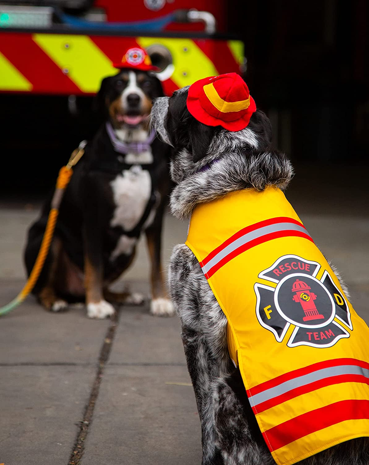 Pet Krewe Large Dog Firefighter Costume -Funny Halloween Pet