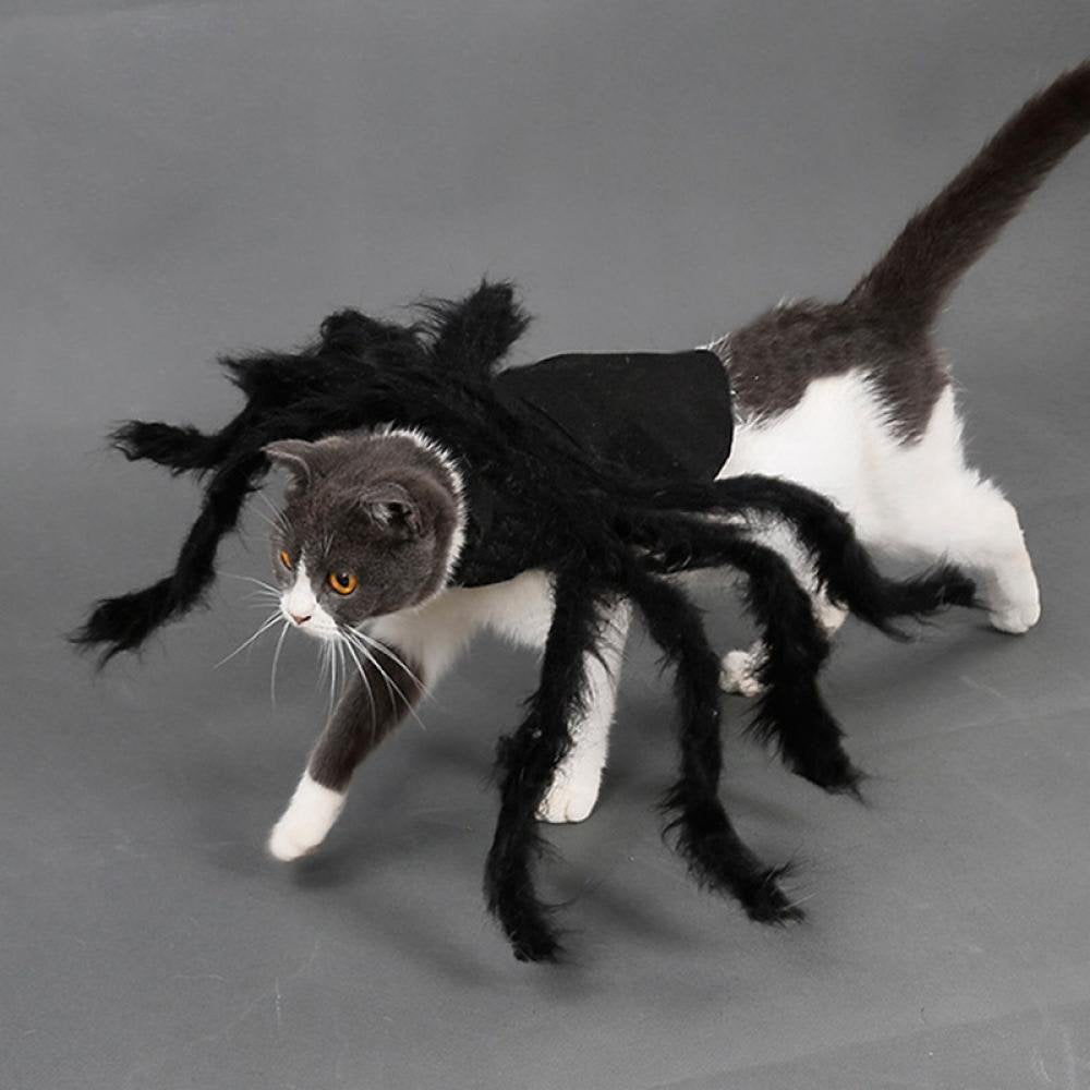 Tarantula Spider Costume, for Pet (Small) Spider - Pet Cosplay Costume Dog Cat Costume Apparel Accessories Animals & Pet Supplies > Pet Supplies > Dog Supplies > Dog Apparel Groomer   