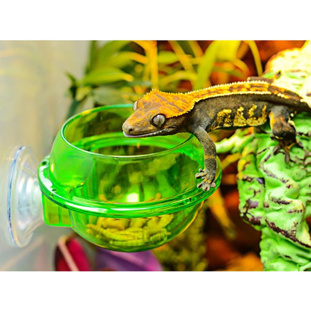 Huntermoon Chameleon Reptile Feeder Feeding Container Lizard Feeder Can Be Connected with Animal Feeder Amphibian Animal